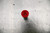 FUSE, VELOCITY, 7-GPM CARTRIDG - 100505597
