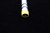 ROLLER,25-29/32BF ITR 1.9PLTD- - 100513868