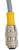 CABLE - CORDSET, M12 FEMALE ST - 100001273