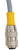 CABLE - CORDSET, M12 FEMALE ST - 100001273