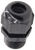 CE