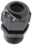 CE