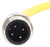 DOUBLE-ENDED CORDSET 5M, STRAI - 100748874