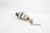 SELECTOR, SWITCH, KEYED - 100500544