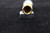 A-2256-2 X 01 SHANK BRUSH FOR - 100502179