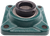 GODGE