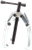 .8.3 
 เอด