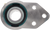 XE 
 DOUGE