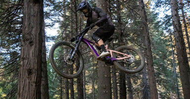 Neumáticos tubeless vs. neumáticos con cámara