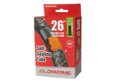 Camara Chaoyang Antipinchazo 26 Schrader 33mm
