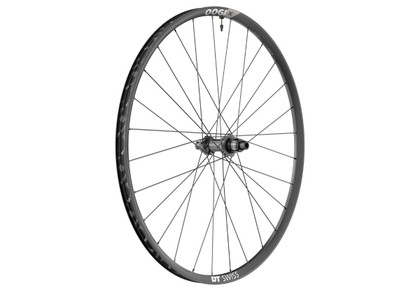 Rueda DT Swiss X 1900 SPLINE 29 - 25mm CL 12/142mm Sram XD Trasera