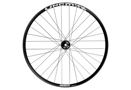 Rueda Delantera Mavic Deemax Park 29 Int