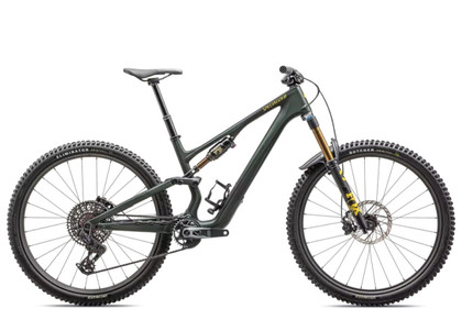 Bicicleta Specialized Stumpjumper 15 Pro 25