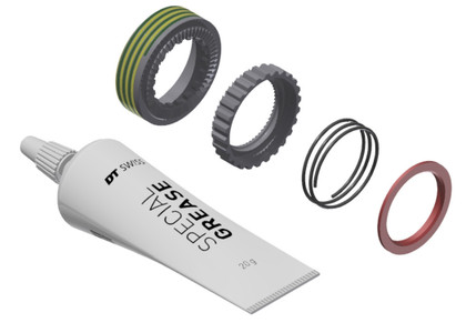 Kit Servicio Dt Swiss Ratchet 54 Para Ratchet EXP System