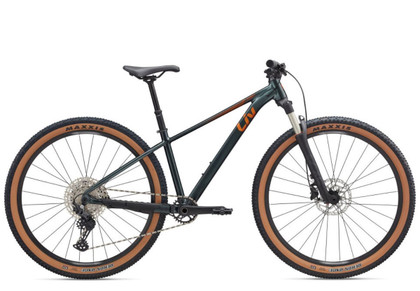 Bicicleta Liv Tempt 29 0 25