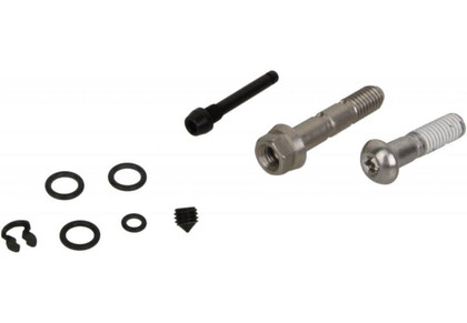 Recambio Avid X0/XX 10-11