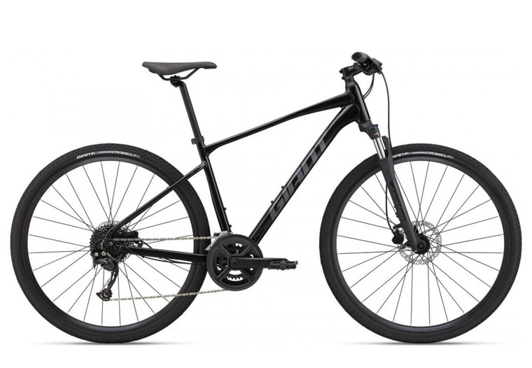 Bicicleta Giant Roam Disc 2 25