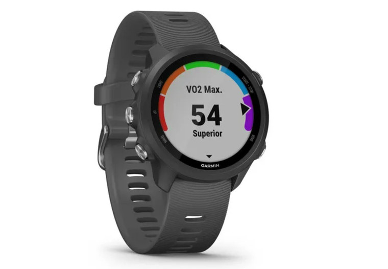 GPS Garmin Forerunner 245