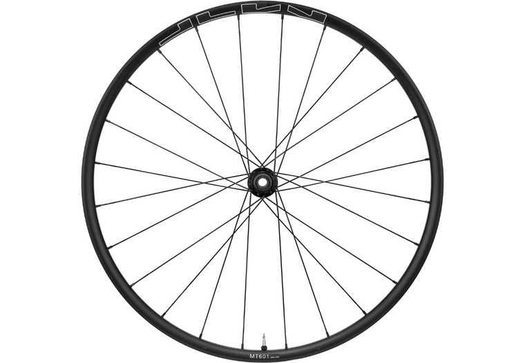Rueda Shimano WH-MT601 Disc E-Thru 15mm Del 29