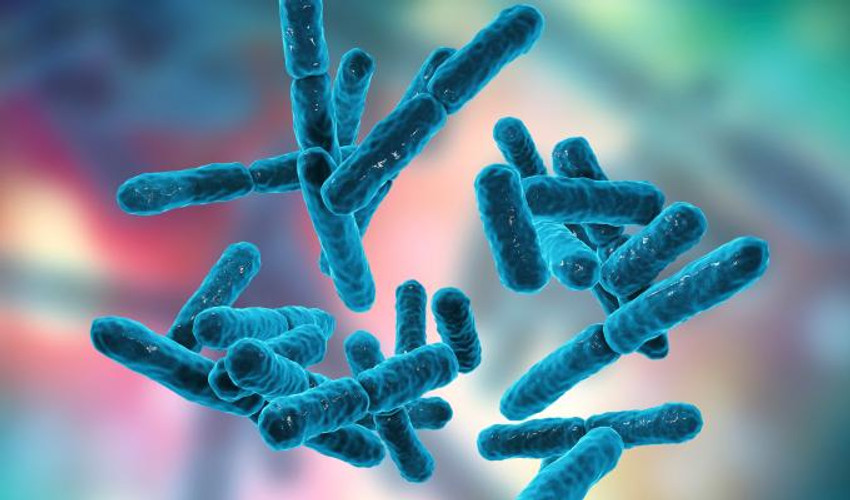 Goede probiotica, wat is dat? Goede probiotica, wat is dat?