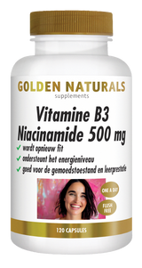 GN-660 - Golden Naturals Vitamine B3 Niacinamide 500 mg 