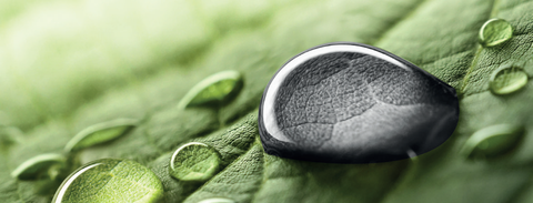 Een ijzersterk product! IJzer Bisglycinaat Plus