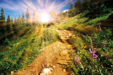 NIEUW: Vitamine B12 3000 mcg met drie natuurlijke vormen van B12