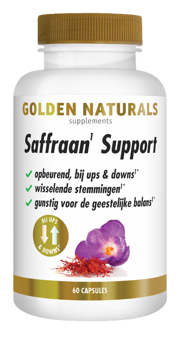 CONF-GN-038  Saffraan Support 