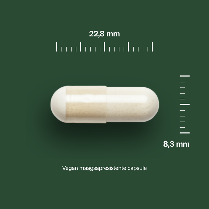 Golden Naturals Microbiotica 30 miljard maagsapresistente capsule, wit, 22,8mm lang en 8,3mm breed.