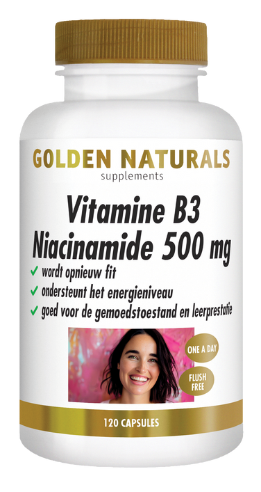 GN-660 - Golden Naturals Vitamine B3 Niacinamide 500 mg 