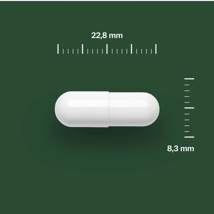 Magnesium Sport