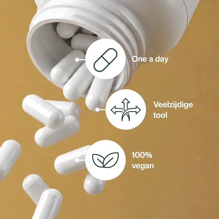 Vitamine D3 Vegan 25 mcg
