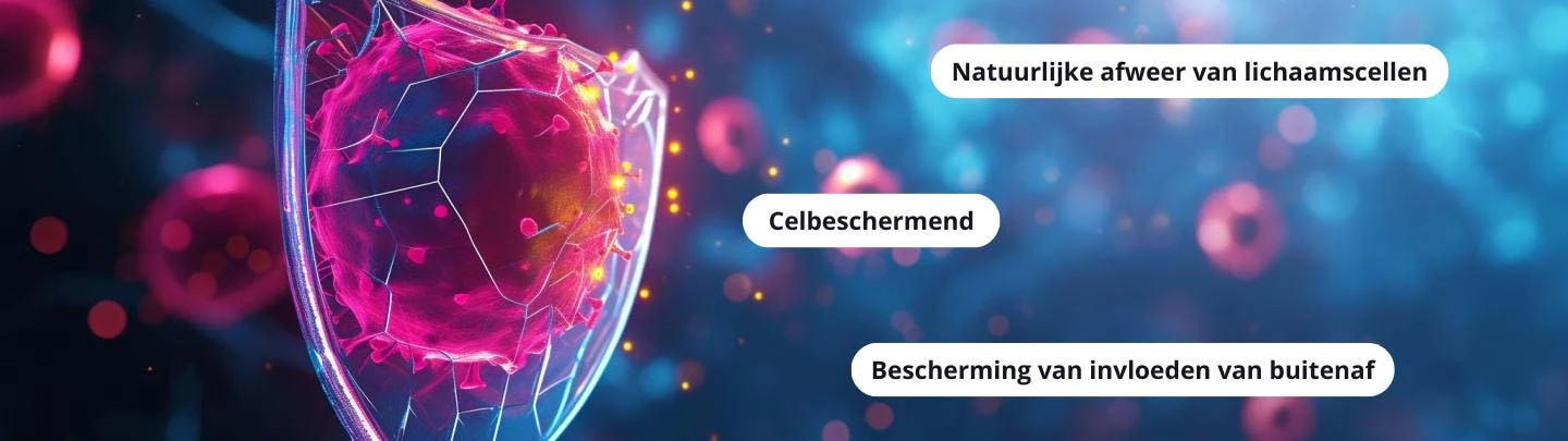 An antioxidant is the natural defense of body cells that protects against external influences.