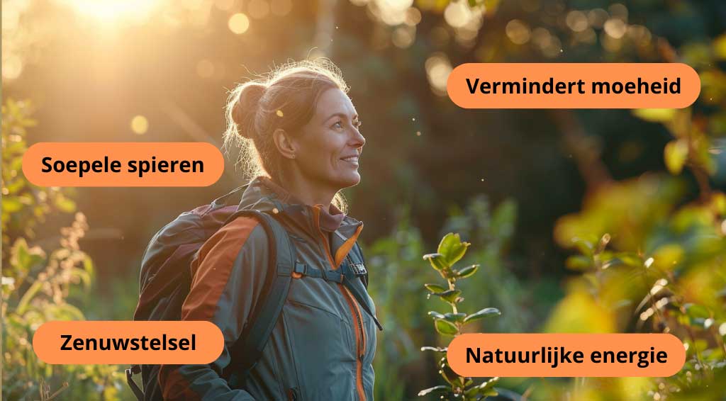 Claims Magnesium Malaat, Vermindert moeheid, soepele spieren, natuurlijke energie, zenuwstelsel 