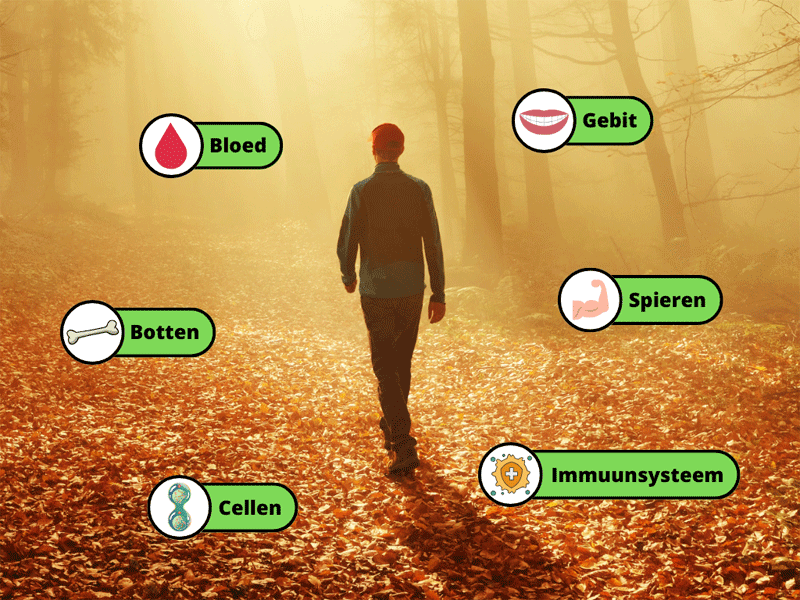 gezondheidsdoelen vitamine D3 voor oa botten, spieren, immuunsysteem
