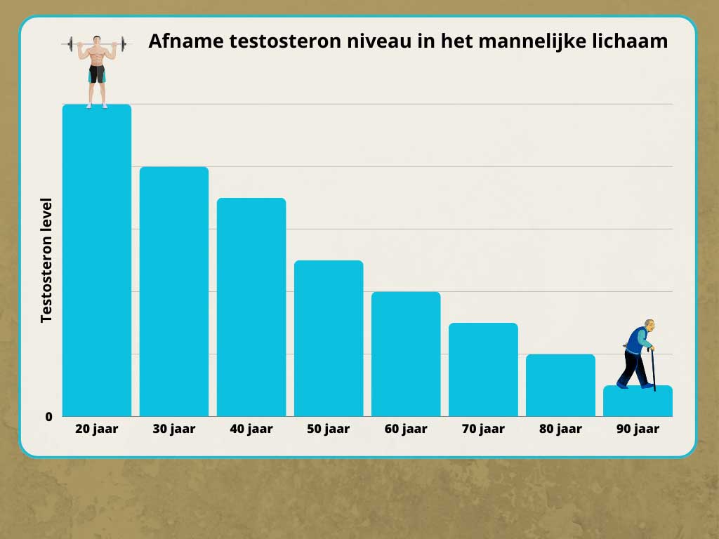 Mannelijke testosteronlevel door de jaren heen