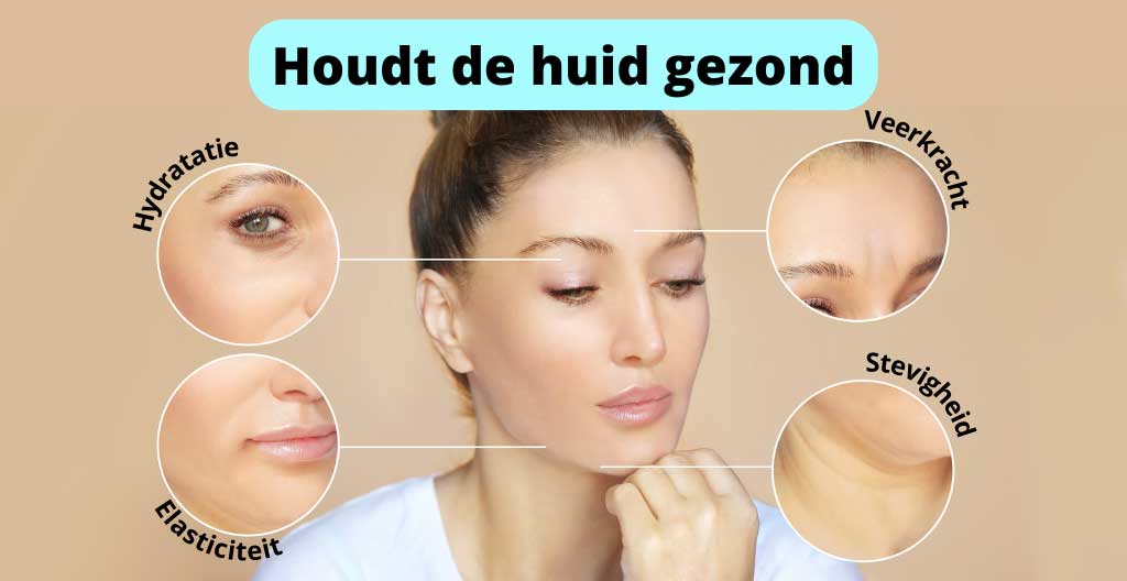 houdt de huid gezond met hydratatie, elasticiteit, veerkracht, stevigheid