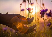 Meer over Vermoeidheid