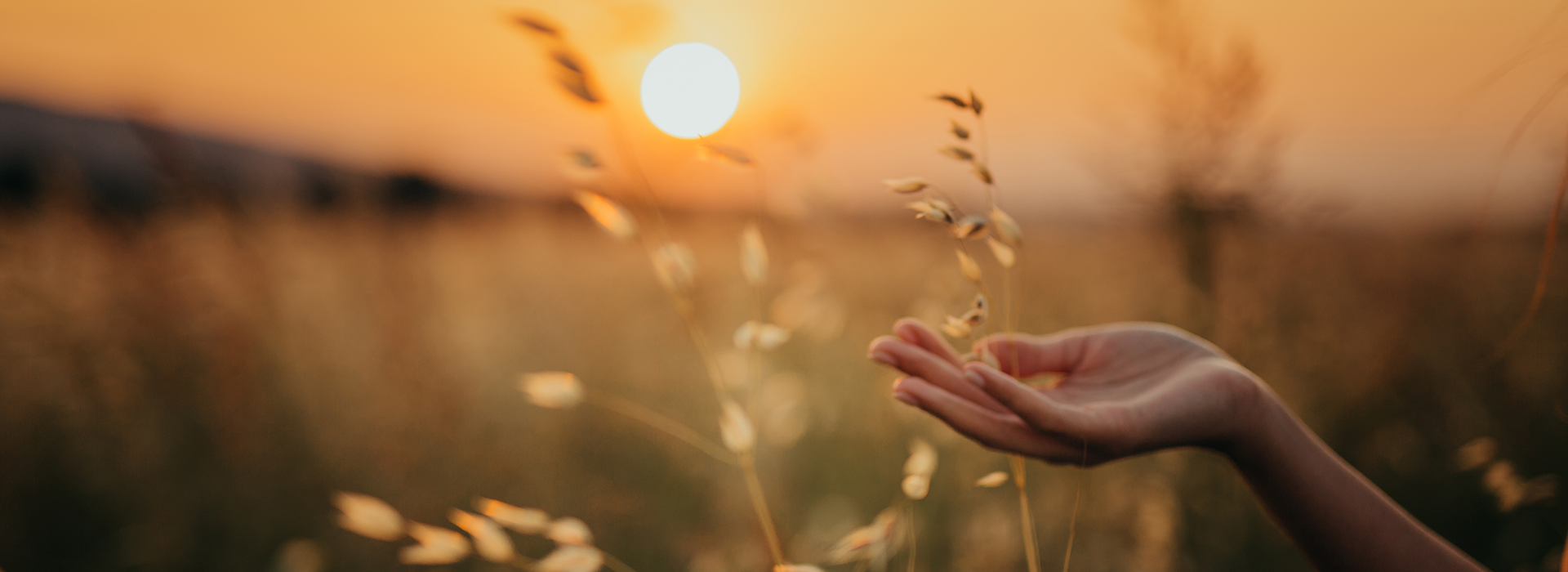 Waarom {{magnesium}} een must is voor iedereen!