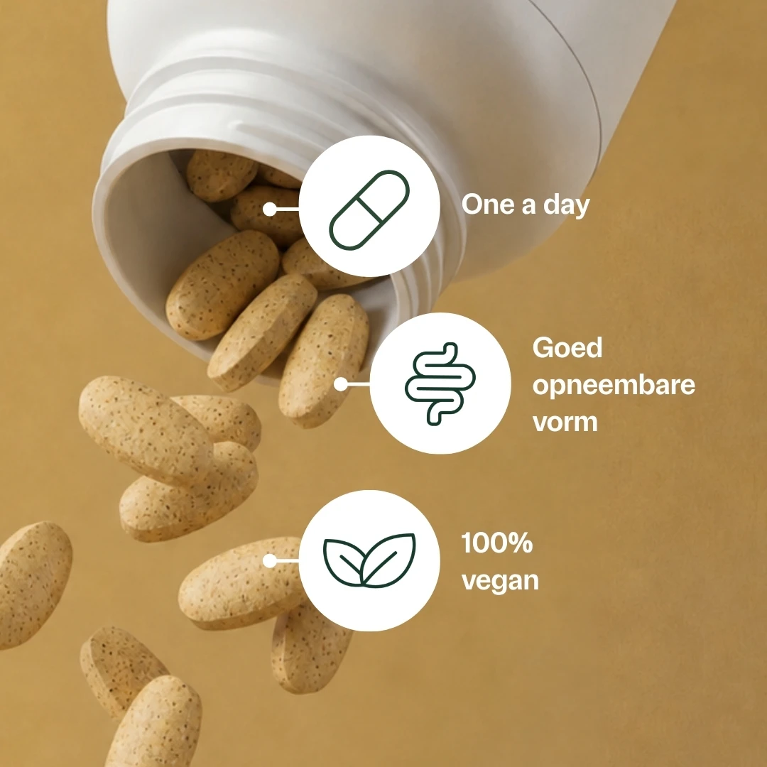 Vitamine C 1000 mg met rozenbottel