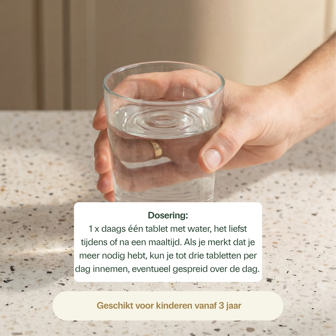 Vitamine C 1000 mg met rozenbottel