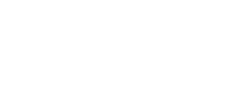 motion access llc