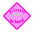 Princess On Board Sign - Pink