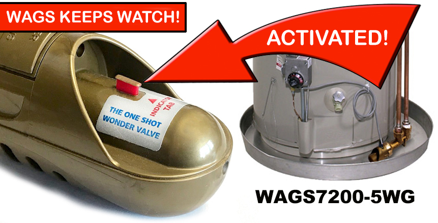 img-1155-rev.jpg img-1155-rev.jpg