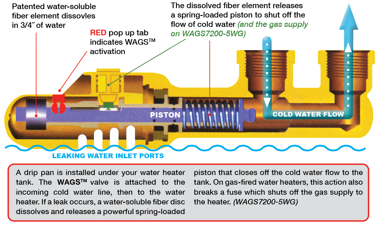 wags-internal-v3.png wags-internal-v3.png