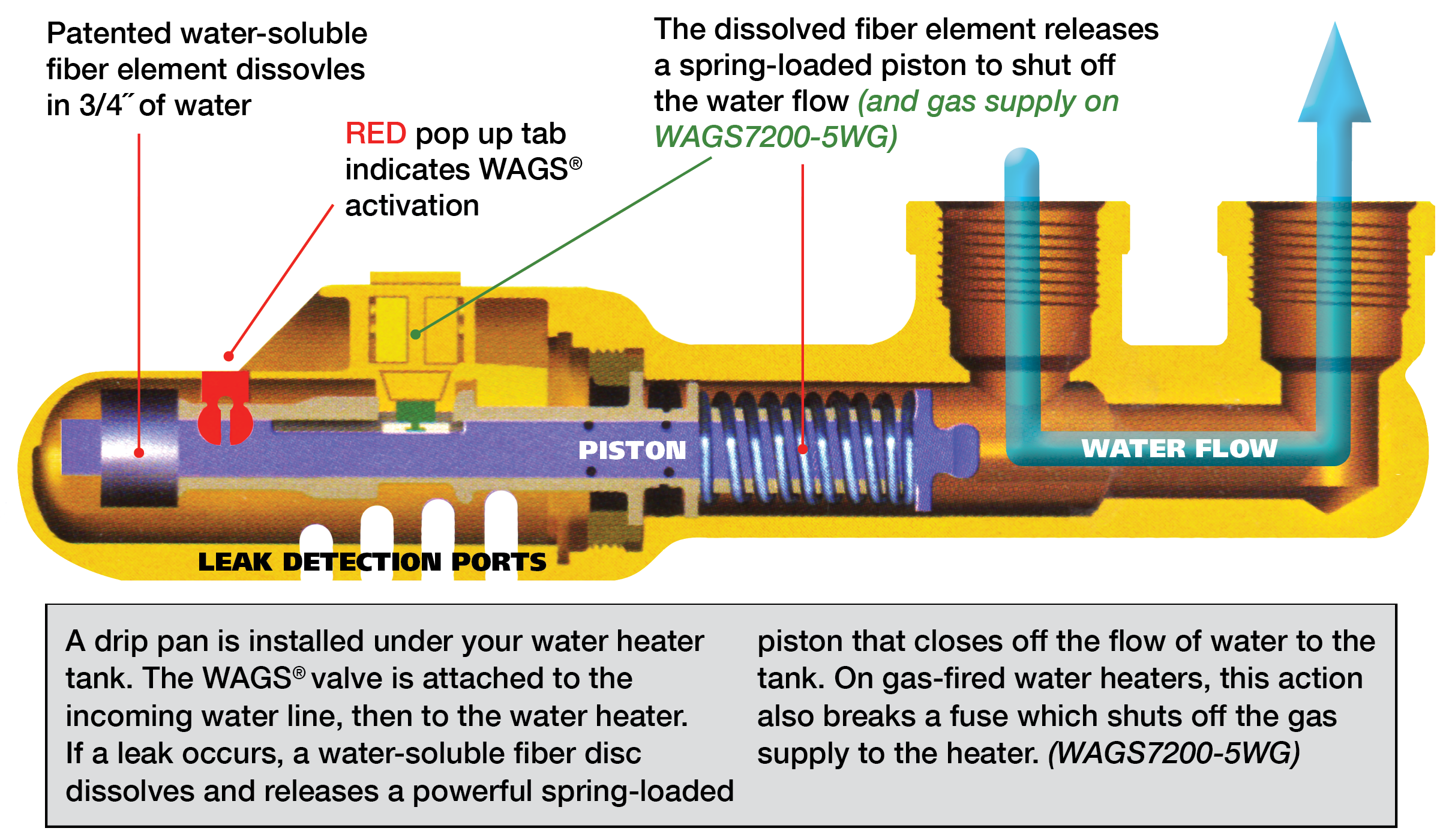 wags-internal-v3.png