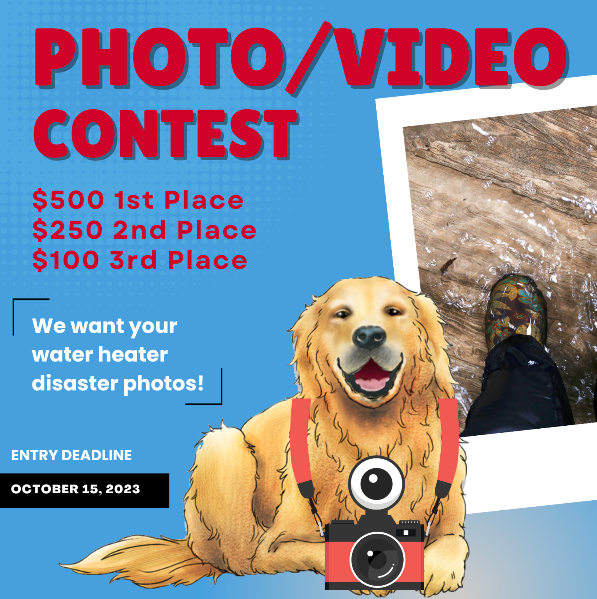 wags-photocontest2023.png