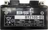BS Battery 300696