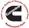 Cummins Onan 300-5333