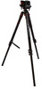 BOG 1099442
